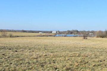 Wall Mural - Farm Field