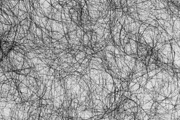 Threads of hair fibers in macro closeup in black on a white background