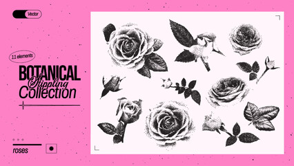 Set of different roses. Vintage flower elements with a grainy photocopy effect for anti-design. Grunge dotted elements with stippling effect. Vector illustration.