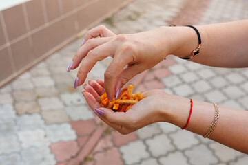 Wall Mural - Woman's hand holds crackers, snack and fast food concept. Selective focus on hands with blurred background