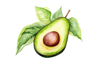 Wall Mural - watercolor avocado isolated on transparent background Remove png, Clipping Path, pen tool