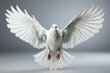 White doves flying, Hope and freedom concept