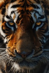 Sticker - A close-up shot of a tiger's face with a blurry background. This image can be used to depict the power and intensity of the tiger or to convey a sense of danger and wildness.