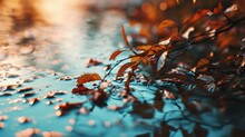 Close-up View Of Leaves On A Wet Surface. Perfect For Nature And Environmental Themes