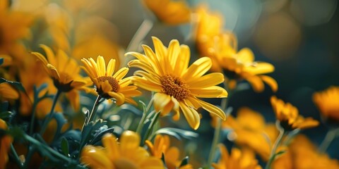 Poster - A beautiful bunch of yellow flowers in the grass. Perfect for adding a touch of color and nature to any project
