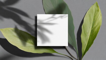 Leafy Sophistication: Realistic Shadow Square Paper Display