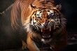 Furious tiger growling and sprinting aggressively, wildlife, action shot, with generative AI.
