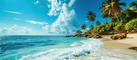 Poster - landscape of tropical island beach with perfect sky. Creative Banner. Copyspace image