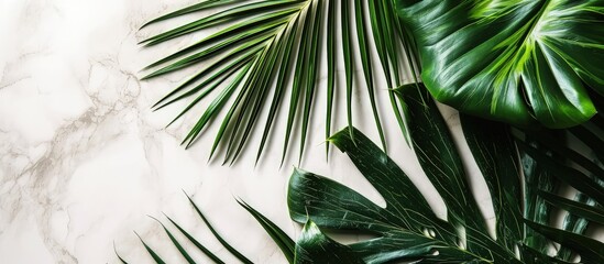 Fototapete - Invitation card mockup with palm tree leaf decoration top view. Creative Banner. Copyspace image