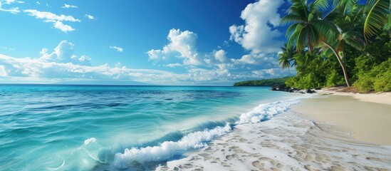 Poster - landscape of tropical island beach with perfect sky. Creative Banner. Copyspace image