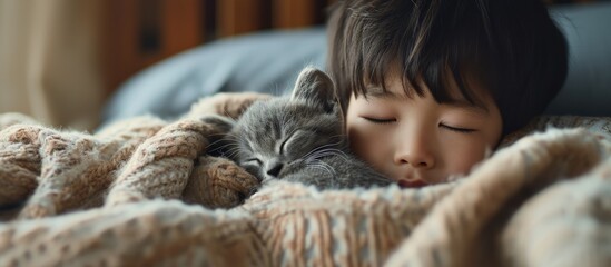 Poster - little asian boy with grey kitten lie on a white pillow and covered with a white blanket Child and cat Kids and pets Little kid with his animal Toddler and kitty sleep. Creative Banner