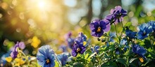 How Beautifully The Blue Purple Flowers Are Blooming It Looks Amazing Yellow Flower Petals Can Be Seen In The Middle Surrounded By Green Nature Open Sky And Shining Sun. Creative Banner