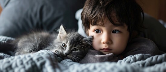 Poster - little asian boy with grey kitten lie on a white pillow and covered with a white blanket Child and cat Kids and pets Little kid with his animal Toddler and kitty sleep. Creative Banner