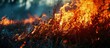 © HN Works - Grass in flames as part of a controlled burn. Creative Banner. Copyspace image