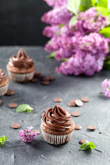 Wall Mural - Chocolate cupcakes. Freshly baked homemade cupcakes with mint leaves and lilac flowers on a gray background. Home baking concept. Soft focus