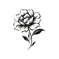 Beautiful minimalist flower illustration art.