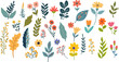 Vector illustration set of flowers and leaves