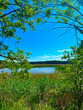 Letni krajobraz z jeziorem, lasem i błękitnym niebem w tle. Staw w Parku Krajobrazowym Dolina Baryczy, Polska