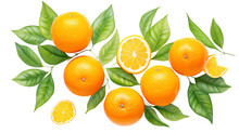 Oranges Fruit On A Branch With Leaves Illustration Isolated On Transparent Background Remove Png, Clipping Path, Pen Tool