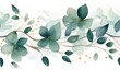 Beautiful flowers and green leaf with white background
