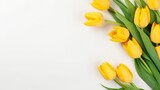 Fototapeta Tulipany - Spring season yellow tulip flowers on side of white background with copy space