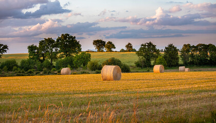 Wall Mural - Meule de foin ou de paille au milieu des champs en été dans un paysage de France.