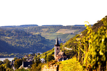 Wall Mural - historic town lorch on the german rhine river