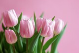 Fototapeta Tulipany - pink tulips against a pink background with a tabletop