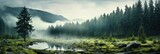 Fototapeta Natura - panorama banner of mountain landscape with river and green forest