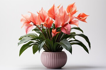 Wall Mural - Beautiful tropical flowers in a vase on a gray background