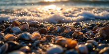 Seashells And Pebbles On A Beach, Background Of Ocean Waves