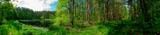 Fototapeta Las - Panorama of forest lakes in spring, young leaves and freshly blossomed buds of trees and shrubs