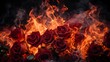 Fiery Elegance: Mesmerizing Medium Shot of a Vibrant Rose Garden in Flames