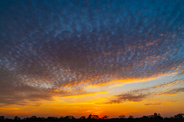 Wall Mural - Colorful clouds and blue sky with the sunset for nature textured background