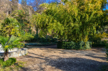 Wall Mural - walkway in National Botanical Garden near Narikala fortress (Tbilisi, Georgia)