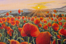 Field Of Wildflowers Red Poppies In Sunlight Watercolor Oil Painting Art Illustration Floral Landscape Red Poppies