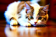 © 성훈 송 - lovely and cute cat. Generative AI
