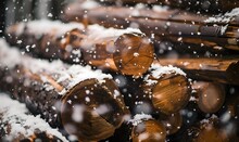 Snow Sprinked On Ho Wood Logs Cut Horizontally, Generative AI