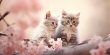 Two Cute And Playful Kittens, One Gray And One Orange, Sitting Near A Blossoming Tree.