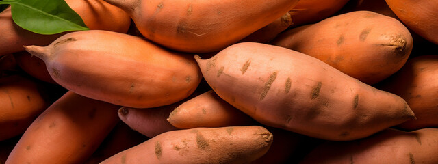Wall Mural - organic sweet potatoes or sweet potatoes. vegan food ingredient.
