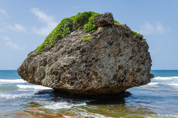 Bathsheba, Soup Bowl, Surf Spot, Barbados: view of a big stone along the east coast.