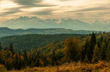 Fototapeta  - Autumn forest, Beskid Sądecki, Lesser Poland, EU, Jesienny las, Beskid Sądecki, Małopolska, EU