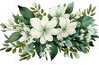A white flowers and green leaves on transparent background,AI generative.