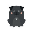 Cute black pug dog vector illustration