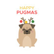 Happy pugmas cute pug vector illustration