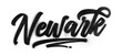 Newark city name written in graffiti-style brush script lettering with spray paint effect isolated on transparent background