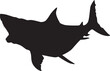 Vector silhouette of a great white shark