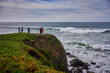 people watching large waves crashing along the Sonoma County coastline