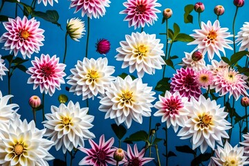 Wall Mural - seamless background with flowers