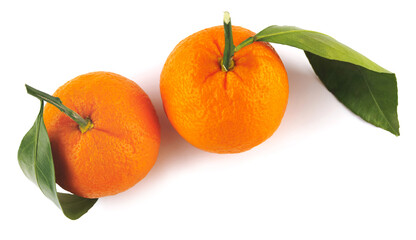 Wall Mural - Two tangerines isolated on a white background. Organic tangerine with green leaf. Mandarin.